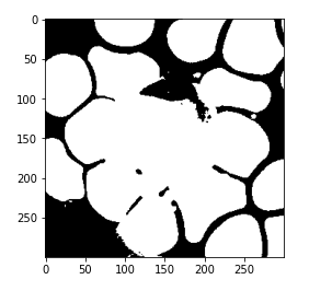 Apply k-means Clustering on the Image 3